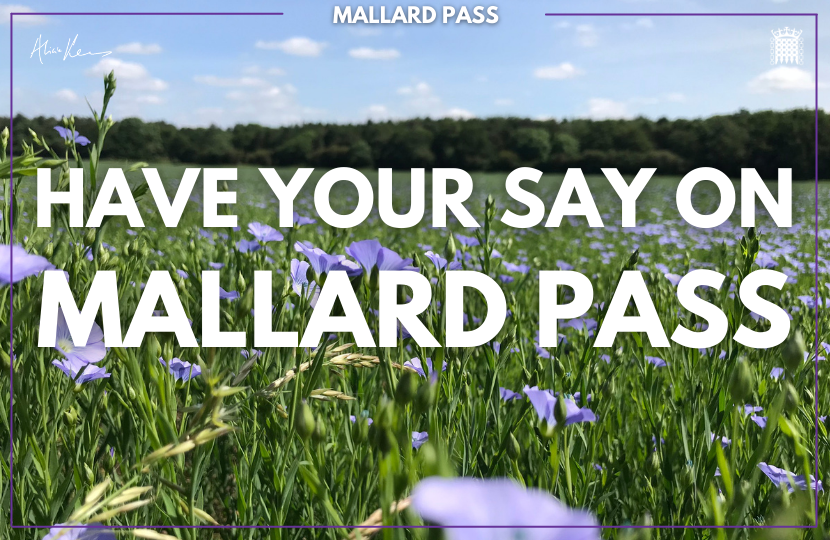 Have your say on Mallard Pass